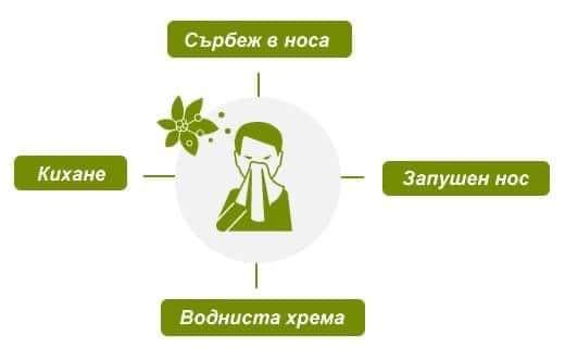 халотерапия за алергии деца